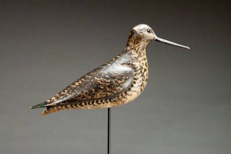 Charles Sumner Bunn – Willet or Yellowlegs – 2014