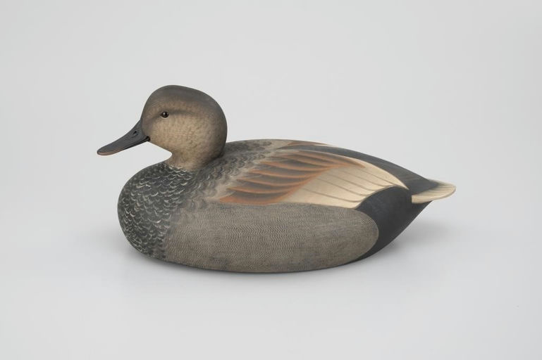 Marty Hanson – Exceptional Gadwall – 2026