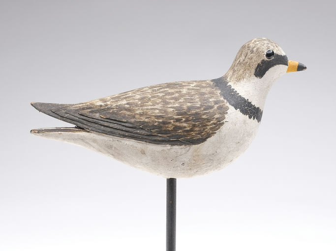 Elmer Crowell – Plover – 2024