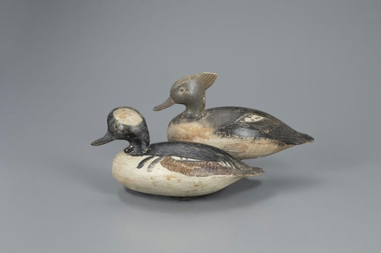 Ira Hudson – The Mackey-Gregory Hooded Merganser Pair – 2020