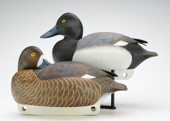 John McLoughlin – Scaup – 2024