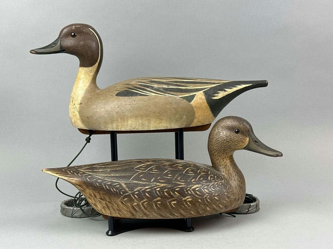Robert Capriola – Pintail – 2026