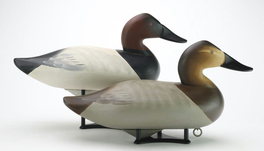 Charlie Joiner – Pair of Canvasbacks – 2024