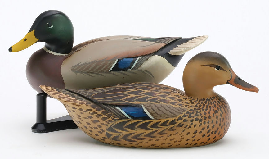 Oliver Lawson – Pair of Mallard – 2024