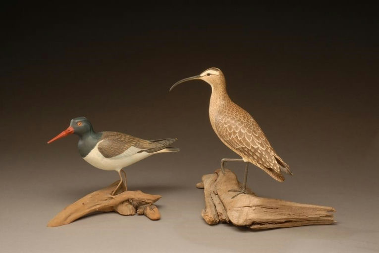 Robert Bates – Oystercatcher – 2008