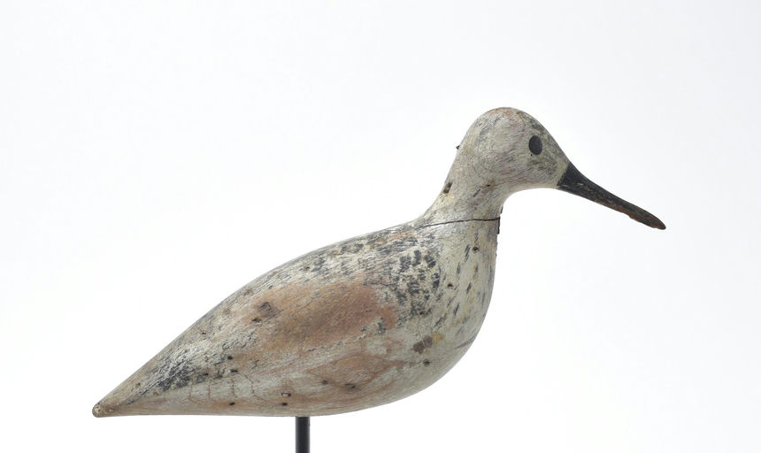 Harry V. Shourds – Yellowlegs – 2025