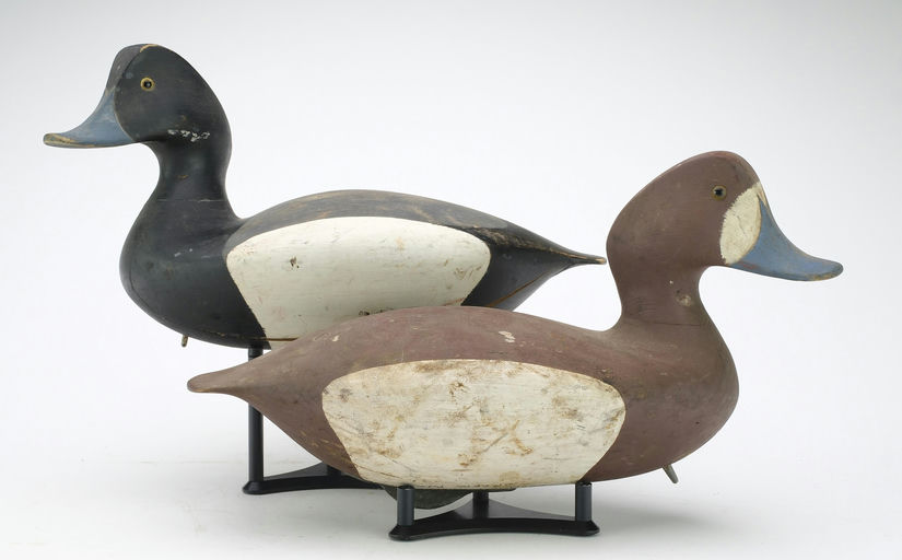 Pete Peterson – Pair of Bluebill – 2024