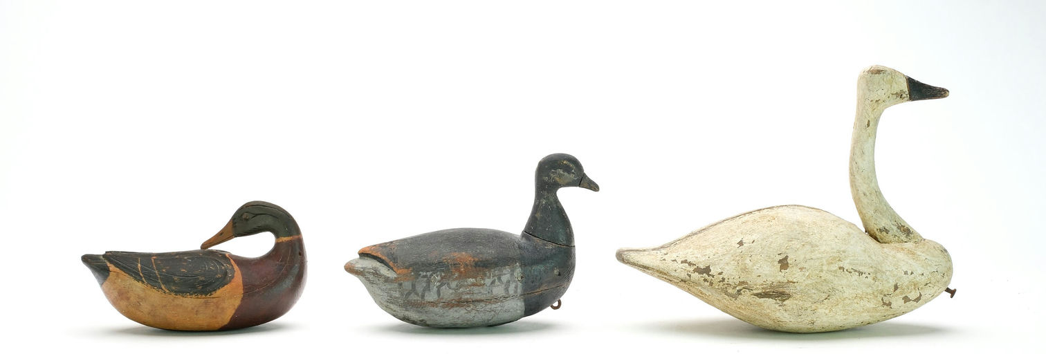 Reggie Birch – Mallard – 2025