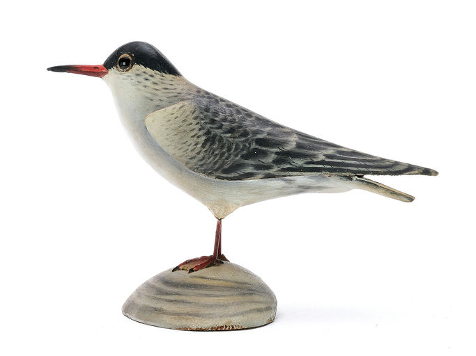 Elmer Crowell – Tern – 2025