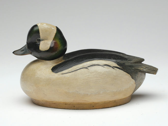 Tom Schroeder – Bufflehead – 2023