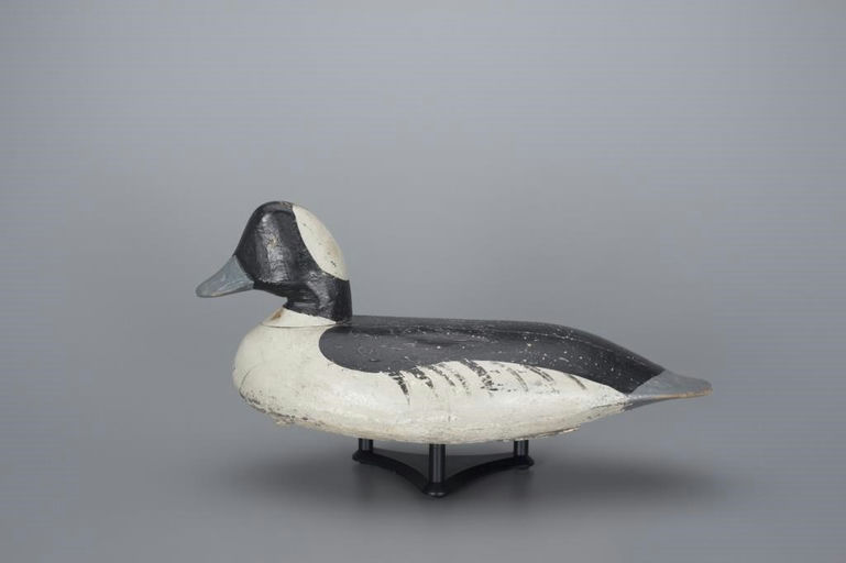 Doug Jester – Bufflehead Drake – 2017