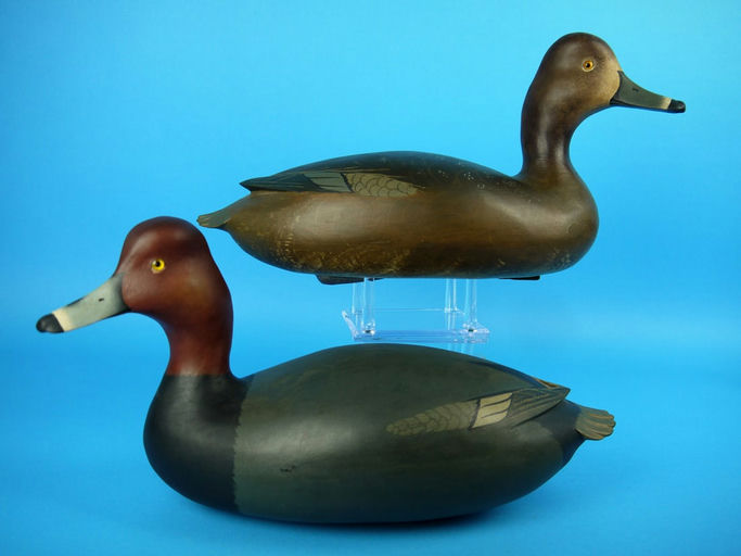 Bob White – Redhead Pair – 2026