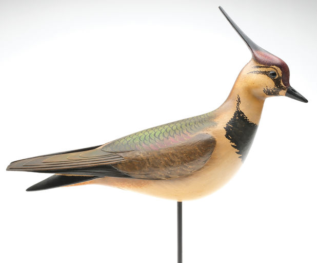 Bill Gibian – Plover – 2026