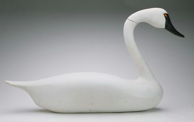 R. Madison Mitchell – Swan – 2024