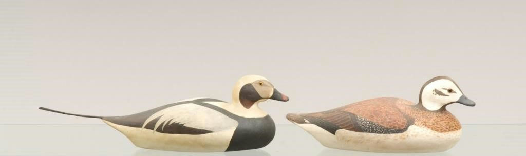 William M. Birk – Oldsquaw Pair – 2009