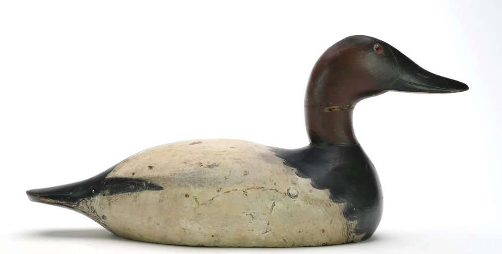 Mason Decoy Factory – Canvasback – 2024