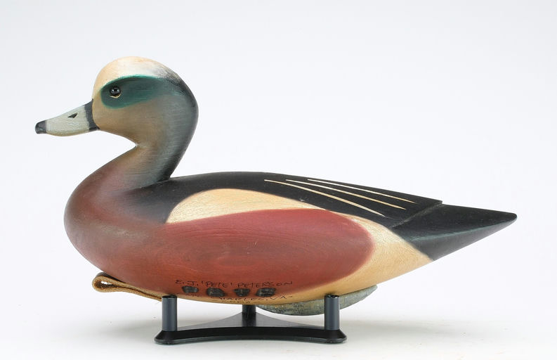 Pete Peterson – Wigeon – 2024