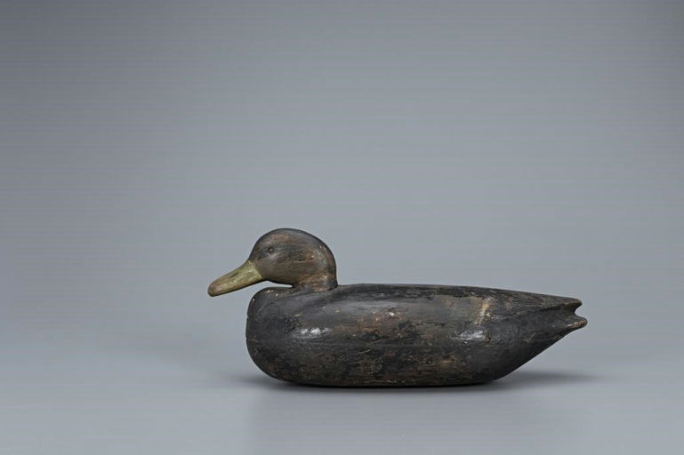 Elkanah B. Cobb – Black Duck – 2019