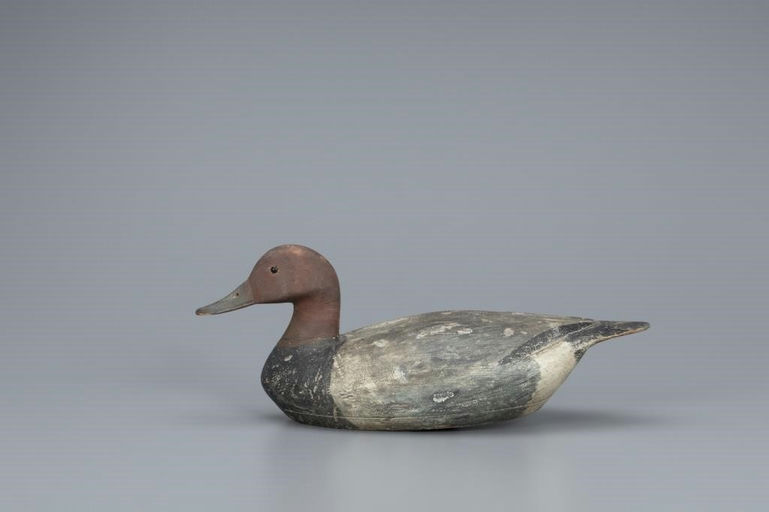 Thomas Gelston – Havemeyer Rig Redhead Drake – 2019
