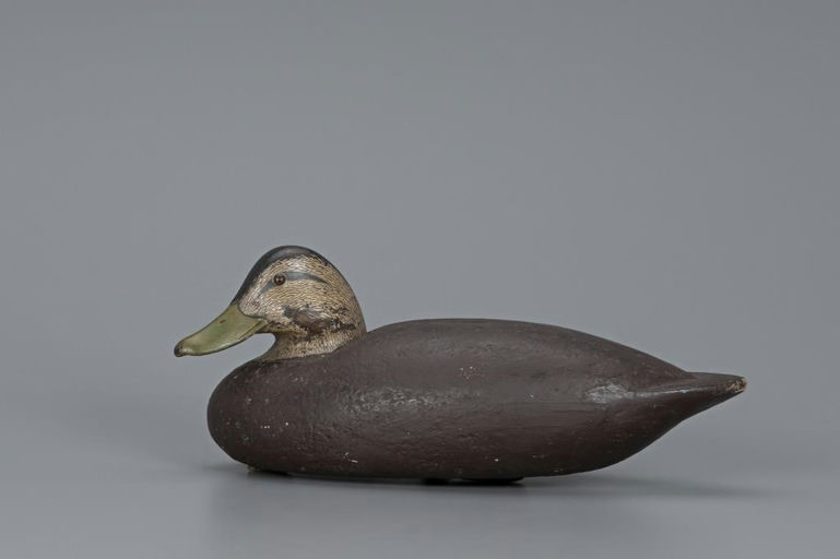 Shang Wheeler – Cork Black Duck – 2019
