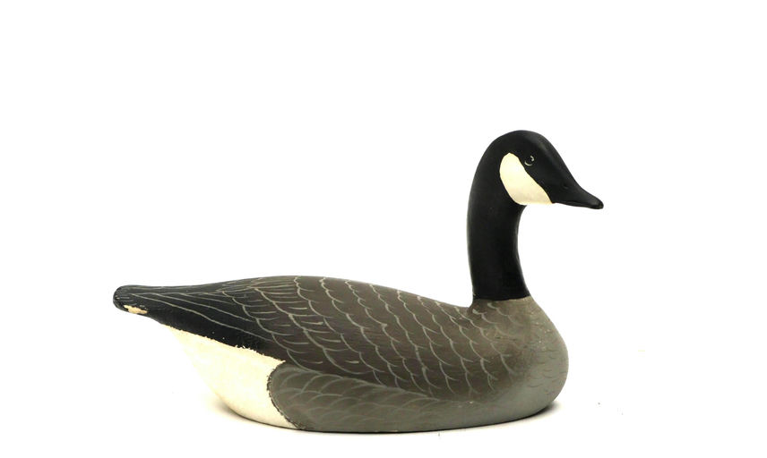 Charlie Joiner – Miniature Canada Goose – 2026