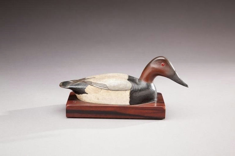 Lewis Webb Hill – Quarter-sized Canvasback Drake – 2013
