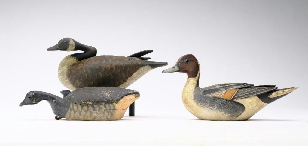 Reggie Birch – Pintail – 2024