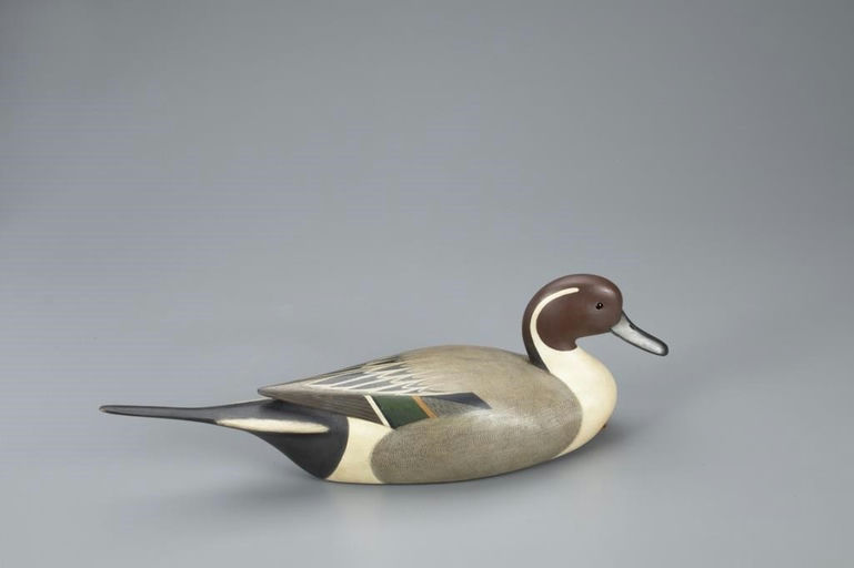 Ian McNair – Pintail Drake – 2020