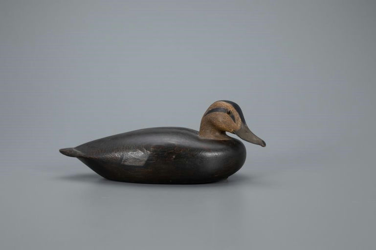 Shang Wheeler – Black Duck – 2020