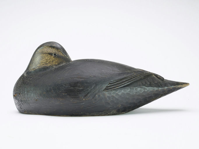 Elmer Crowell – Sleeping Black Duck – 2025