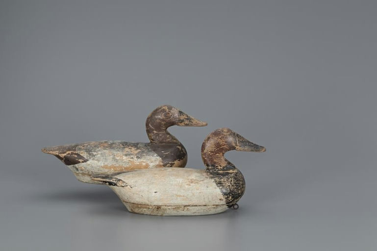 Richard L. Tilghman – Canvasback Pair – 2019