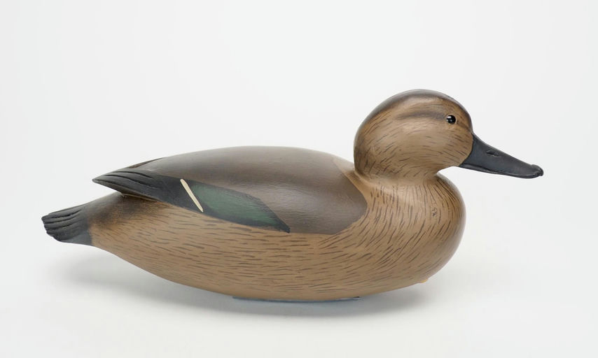 Jim Birch — Green-winged Teal Hen