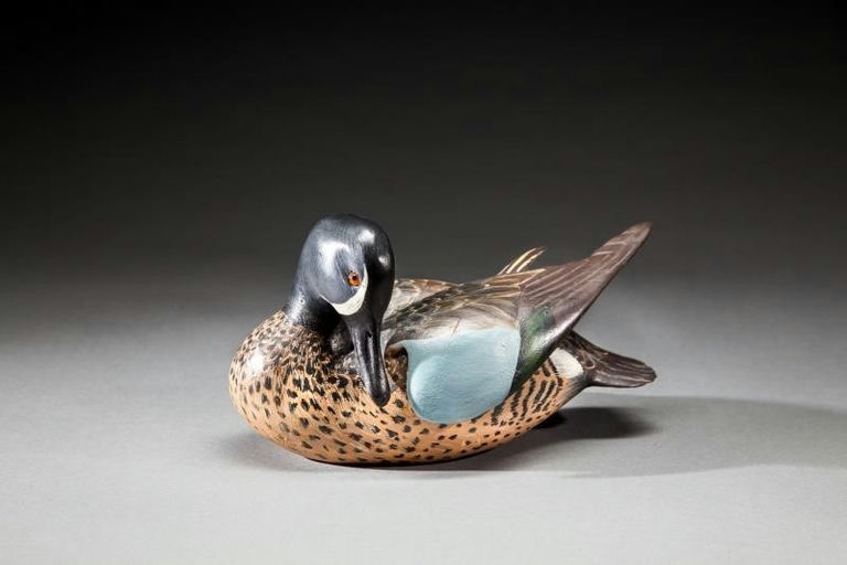 Ward Brothers – Preening Blue-Winged Teal Drake – 2016