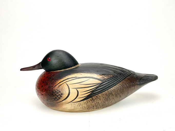 Byron Bruffee — Redbreasted Merganser Drake
