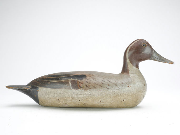 Bert Graves – Pintail – 2023