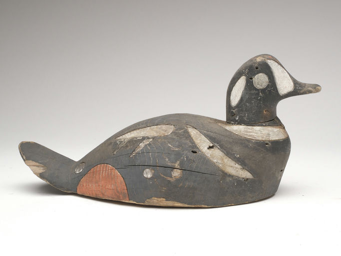 George May – Harlequin Duck – 2023