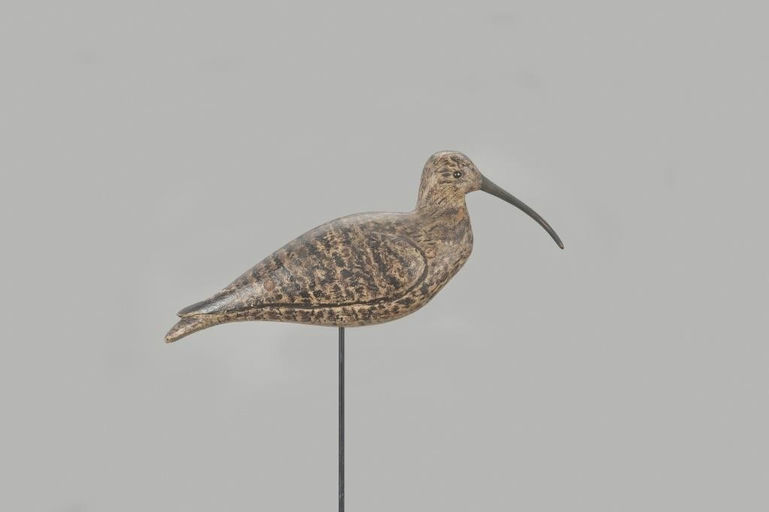 Charles Sumner Bunn – Grand Curlew – 2023