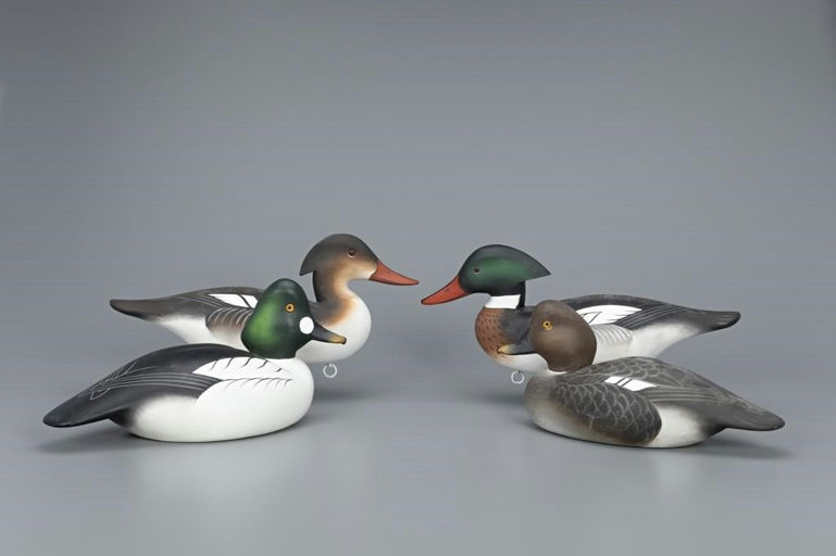 Charlie Joiner – Merganser and Goldeneye Pairs – 2019