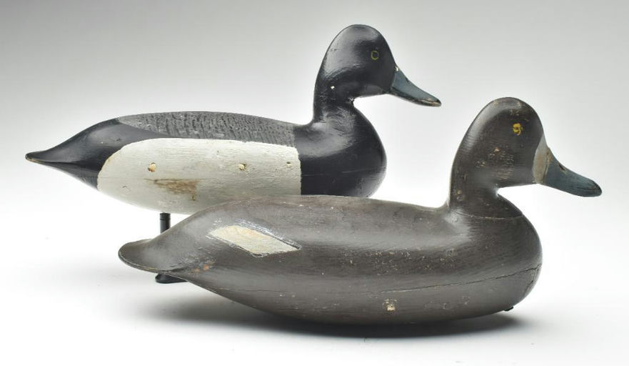 Harry V. Shourds – Scaup – 2023