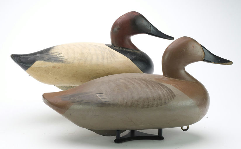 R. Madison Mitchell – Pair of Canvasbacks – 2024