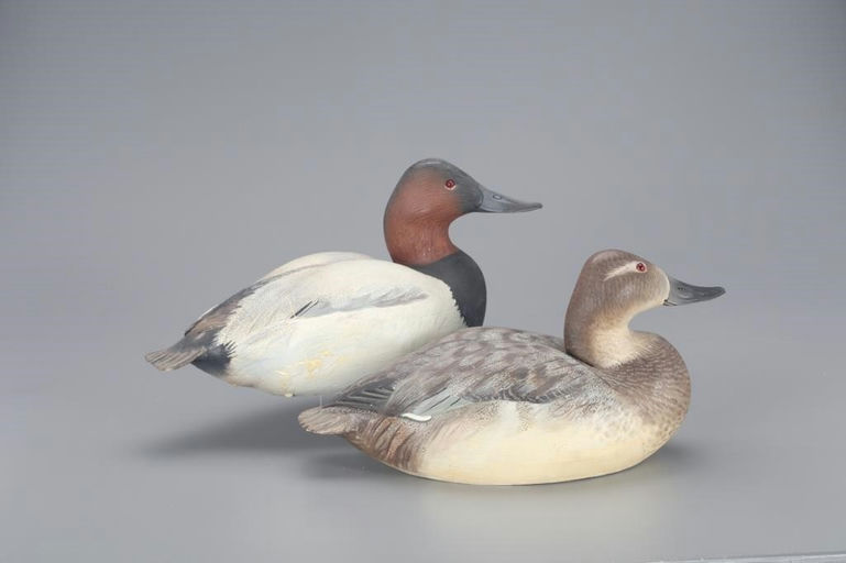 Ward Brothers – Decorative Canvasback Pair – 2021