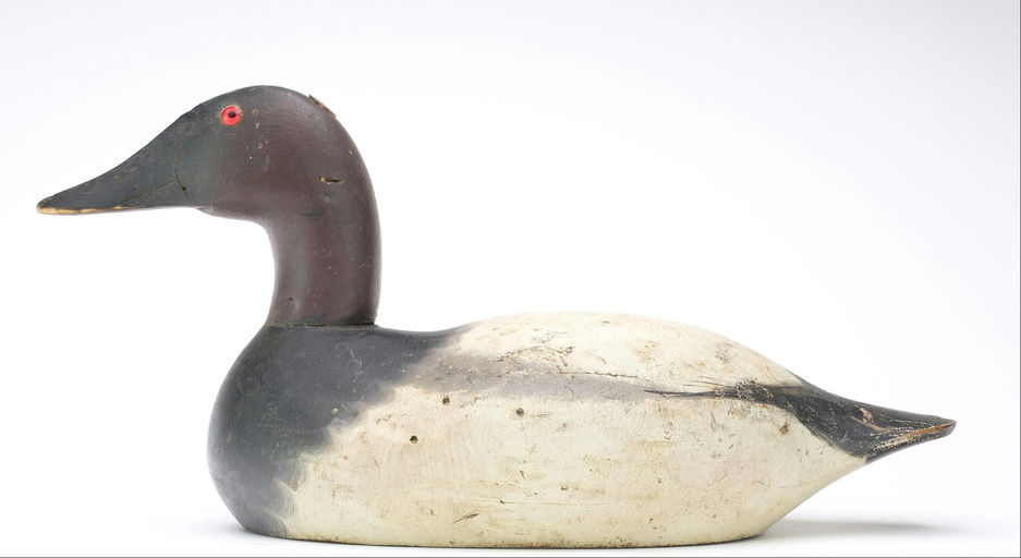 Mason Decoy Factory – Canvasback – 2024