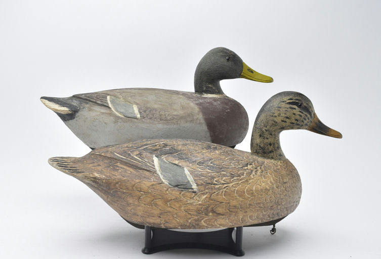 Ben Schmidt – Pair of Mallard – 2025