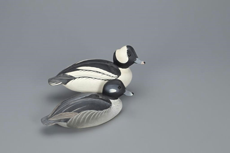 Ward Brothers – Bufflehead Pair – 2019
