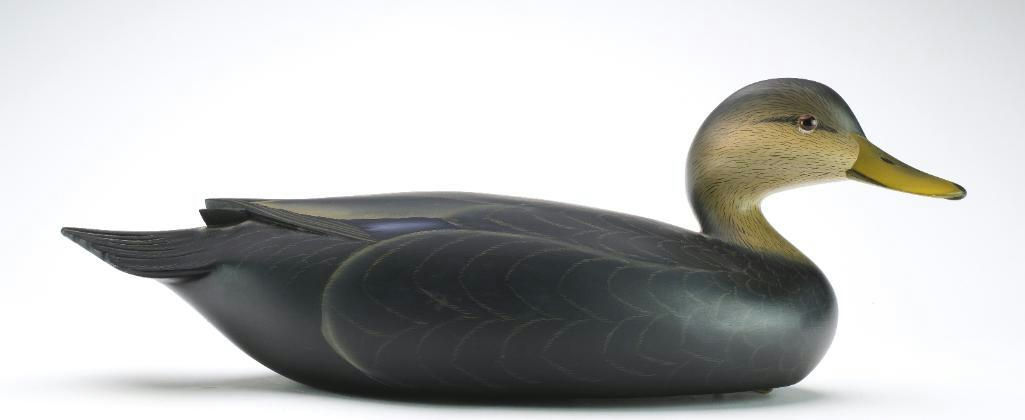 George Strunk – Black Duck – 2024