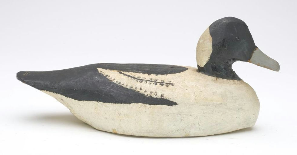 Miles Hancock – Bufflehead – 2023
