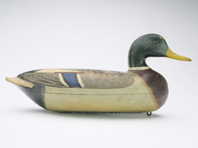 Charles Perdew – Mallard Drake – 2024