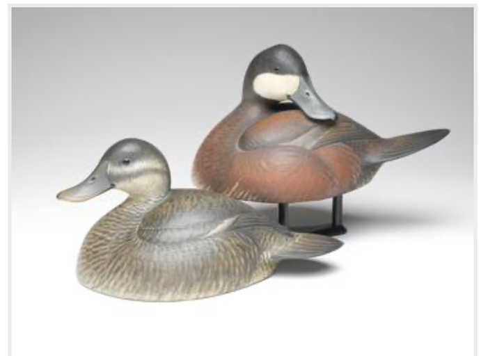 Marty Hanson – Ruddy Duck