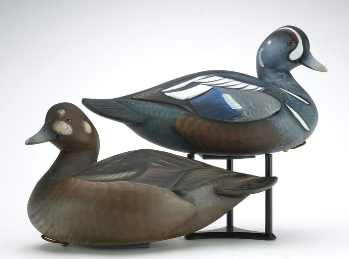 Sean Sutton – Hollow Carved Pair of Harlequin Ducks, Slightly Turned Heads – 2024