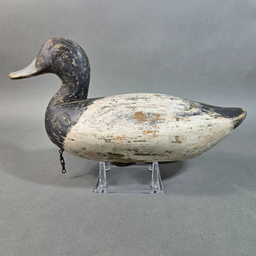Holly Family – Scaup – 2026